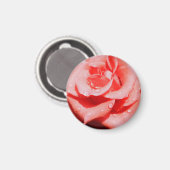 Oude Rozen Magneet (Voorkant / Achterkant)