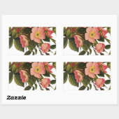 Oude Rozen Mooie Roze Botanisch Rechthoekige Sticker (Vel)