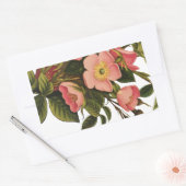 Oude Rozen Mooie Roze Botanisch Rechthoekige Sticker (Envelop)