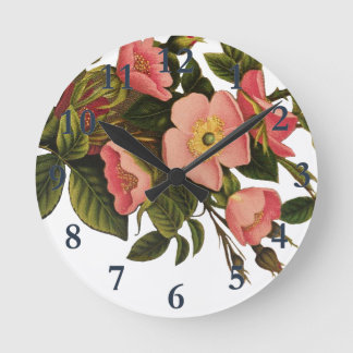 Oude Rozen Mooie Roze Botanisch Ronde Klok