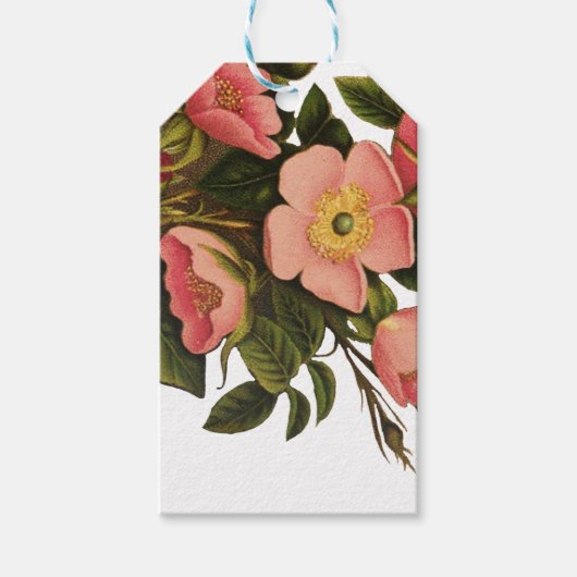 Oude Rozen Mooie Roze Botanische Cadeaulabel (Voorkant)