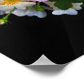 Oude Rozen Poster (Hoek)