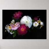 Oude Rozen Poster (Voorkant)