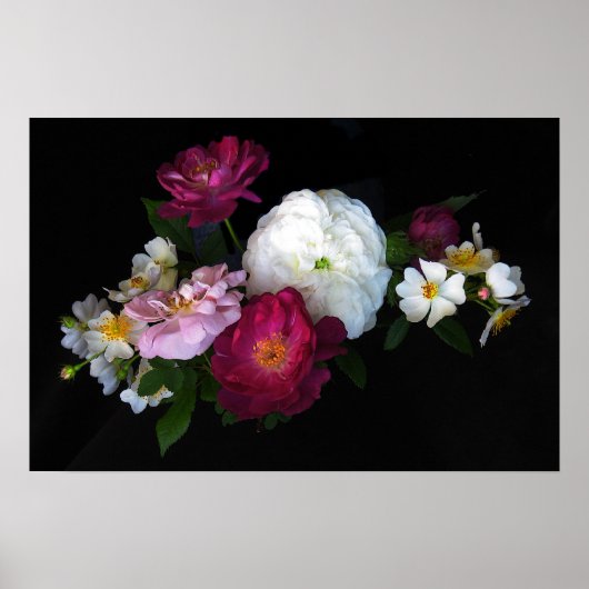 Oude Rozen Poster (Voorkant)