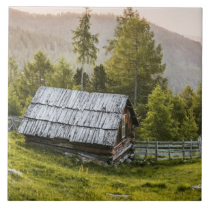 Oude Rustic Mountain Cabin Summer Tegeltje