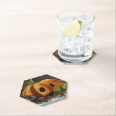 Oude rustieke pompoen spook halloween feest kartonnen onderzetters (Insitu)