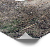 Oude Rustische Row Boat Poster (Hoek)