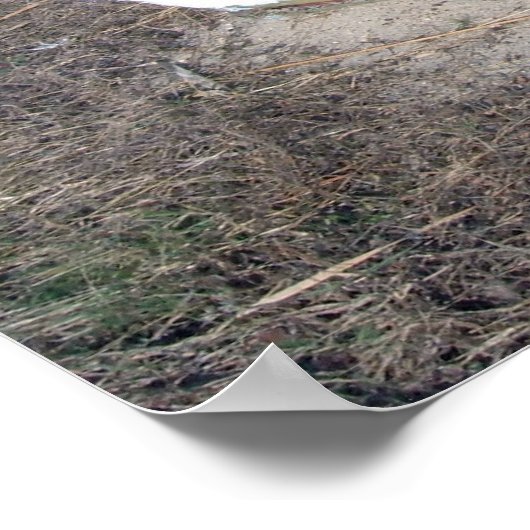 Oude Rustische Row Boat Poster (Hoek)