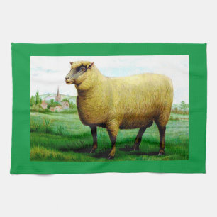 Oude schapen groene gras weide  theedoek