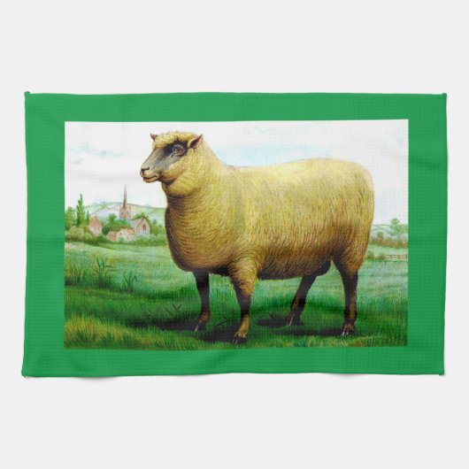 Oude schapen groene gras weide  theedoek (Horizontaal)