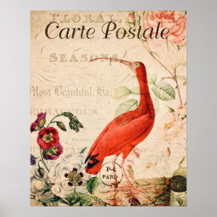 Oude scharlaken ibis vogel Franse bloemposter Poster