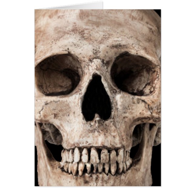 Oude schedel (Voorkant)