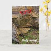 Oude schildklier in rode zonnebrillen kaart (Gele Bloem)