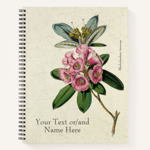 Oude Schitterende Rhododendron viscosum Notitieboek