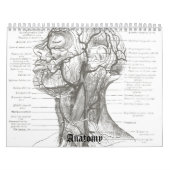 Oude schoolanatomie kalender (Hoes)
