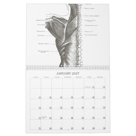 Oude schoolanatomie kalender (Jan 2027)