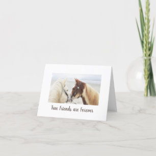 Oude schoolpapieren kaarten van Hags w Nags - vrie