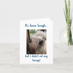 Oude schoolpapieren kaarten van HwN