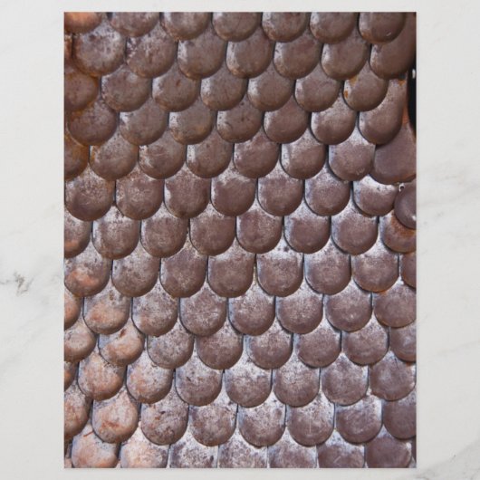 Oude schubbenpantser flyer (Voorkant)