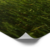 Oude schuur in het veld van de voorjaarstarwe poster (Hoek)