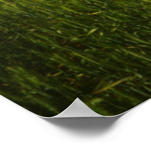 Oude schuur in het veld van de voorjaarstarwe poster (Hoek)