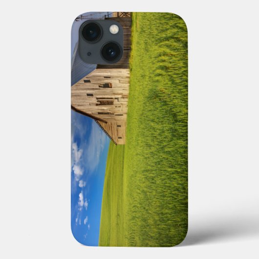 Oude Schuur in Veld met Lente Tarwe Case-Mate iPhone Case (Achterkant)