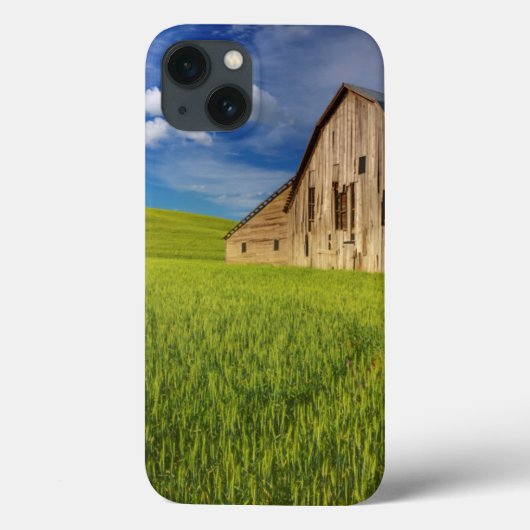 Oude schuur in veld met voorjaars tarwe Case-Mate iPhone case (Achterkant)