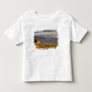 Oude schuur omgeven door hooibalen en dramatisch kinder shirts