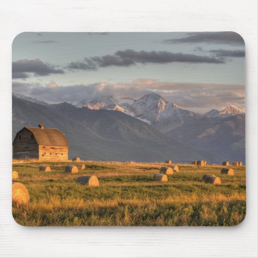 Oude schuur omgeven door hooibalen en dramatisch muismat (Voorkant)