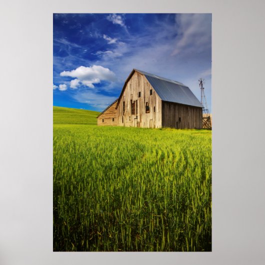 Oude schuur Omringd door Voorwarenveld 1 Poster (Voorkant)