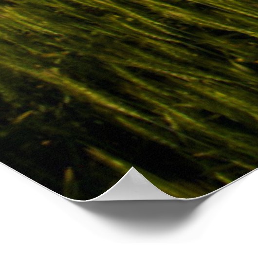 Oude schuur Omringd door Voorwarenveld 2 Poster (Hoek)