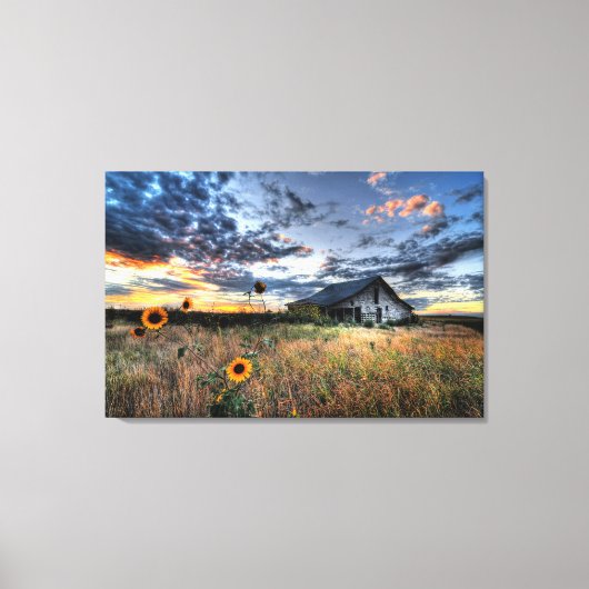 Oude Schuur op de Prairie met Zonnebloemen Canvas Afdruk (Voorkant)
