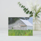 Oude schuur op een groen veld briefkaart (Staand voorkant)
