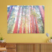 Oude Sequoia's Canvas Afdruk (Insitu (Woonkamer))