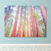 Oude Sequoia's Canvas Afdruk (Insitu (Houten vloer))