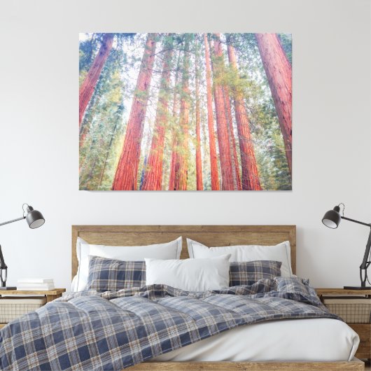 Oude sequoia's canvas afdruk (Insitu (Slaapkamer))