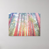 Oude sequoia's canvas afdruk (Voorkant)