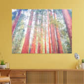 Oude sequoia's canvas afdruk (Insitu (Woonkamer))