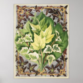 Oude Shirley Hibberd Klimopbladeren Botanische Kun Poster (Voorkant)
