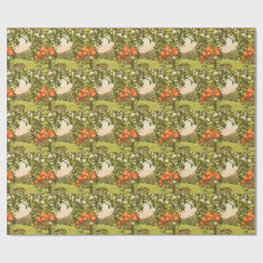 Oude Sinaasappelboomgaard Cadeaupapier (Vlak)