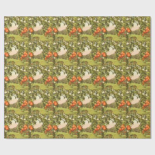 Oude Sinaasappelboomgaard Cadeaupapier (Vlak)