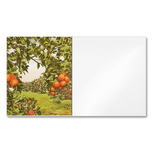 Oude Sinaasappelboomgaard Magnetisch Visitekaartje (Voorkant)