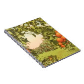 Oude Sinaasappelboomgaard Notitieboek (Rechterzijde)