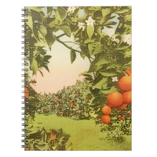 Oude Sinaasappelboomgaard Notitieboek