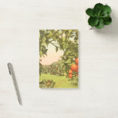 Oude Sinaasappelboomgaard Post-it® Notes (Kantoor)