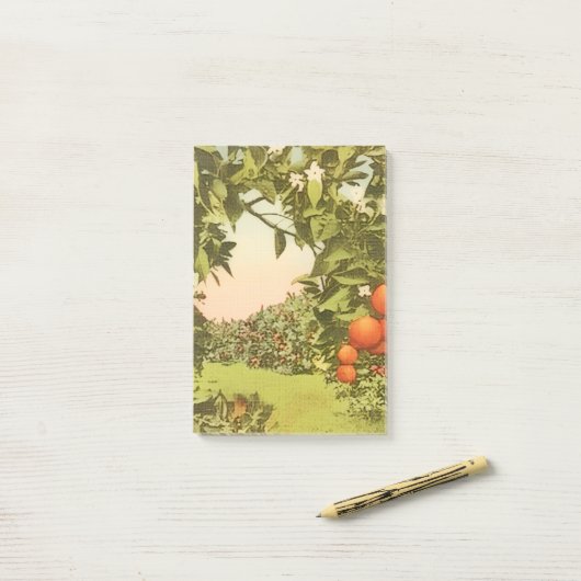 Oude Sinaasappelboomgaard Post-it® Notes (Op bureau)