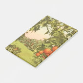 Oude Sinaasappelboomgaard Post-it® Notes (Schuin)