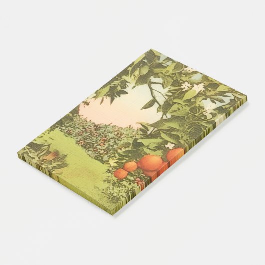 Oude Sinaasappelboomgaard Post-it® Notes (Schuin)