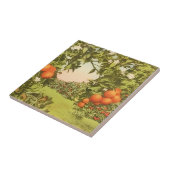 Oude Sinaasappelboomgaard Tegeltje (Zijkant)