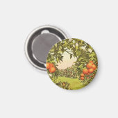 Oude Sinaasappelgaard Magneet (Voorkant / Achterkant)